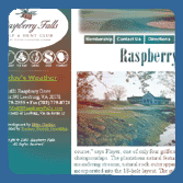 thumbnail image of a sample website